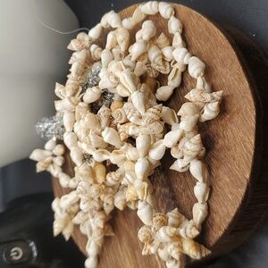 Seashell bushel jewlery crafters delight authentic shells beachy bohemian